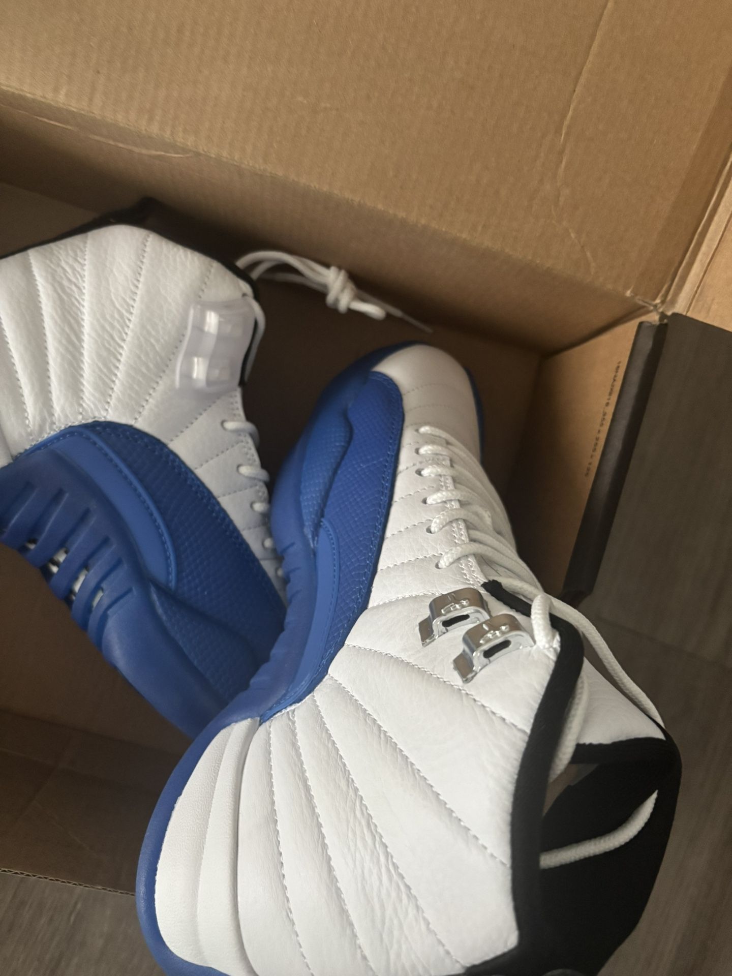 Jordan 12