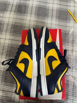 Size 8 Michigan dunks