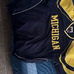 Vintage Michigan Hoodie 