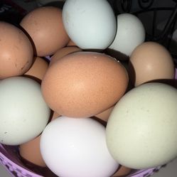 Fresh unwashed Eggs 🥚 