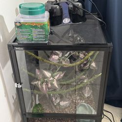 terrariums