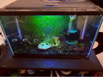 Fish tank 5 gallon