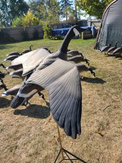 Landing Goose Decoy With Stand And Spinner Decoy With Stand