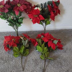 Poinsettias $20.00