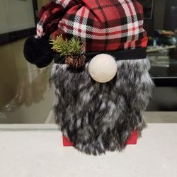 Scottish Scandinavian Gnome Boy and / or girl.