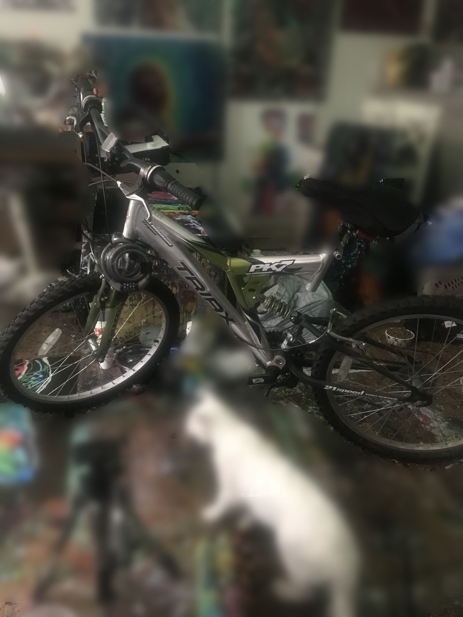 Mountain Bike
