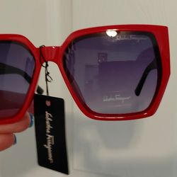 Brand New Womens Sunglasses 