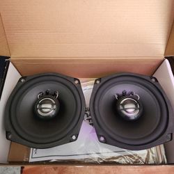 Hogtunes 2 Ohm Gen3 