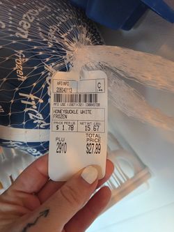 Free Frozen Turkey