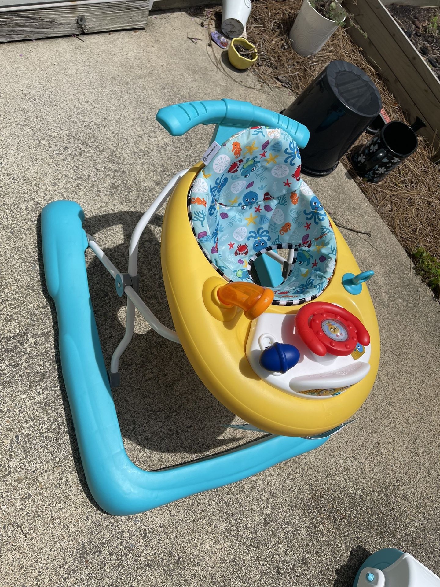 Einstein Baby Walker