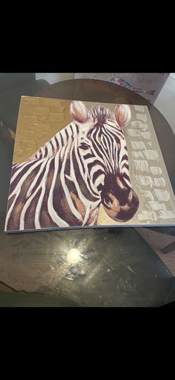 Zebra Picture