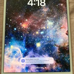 iPad Pro 10.5” (2017) 256GB