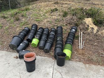 200 Plant Pots For $50