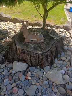 Concrete Fawn - Yard Decor