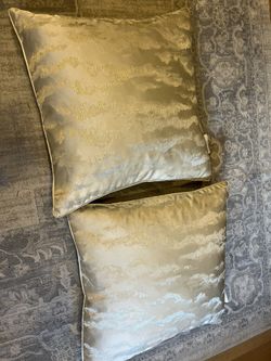 2 Large Accent Pillows