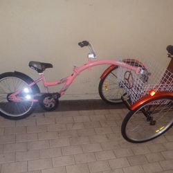 Small Child Trailer Bike