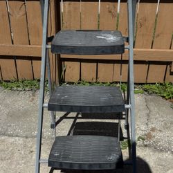 3 FT Ladder