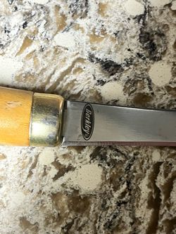 Berkley Fillet Knife with Wood Handle