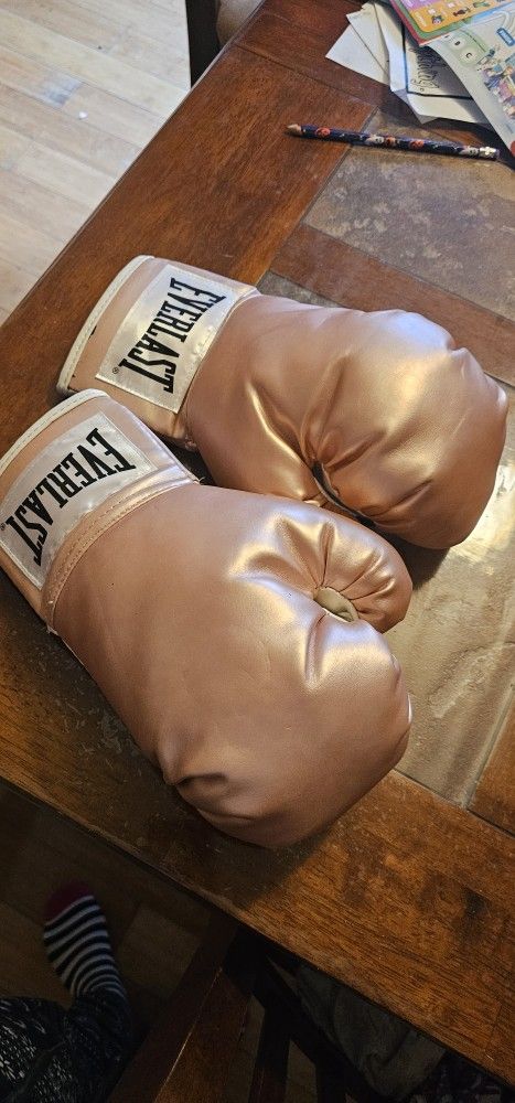Boxing Gloves New