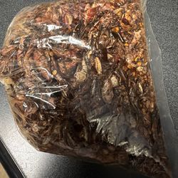 Chapulines en venta