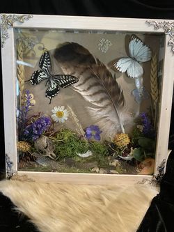 Butterfly Garden 