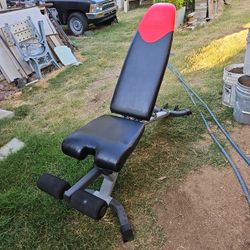 Exercise Bench