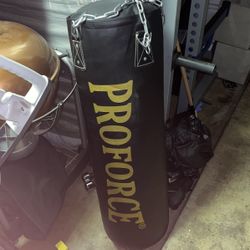 Punching Bag