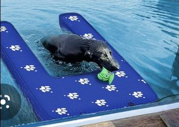 Inflatable dog dock platform with steps