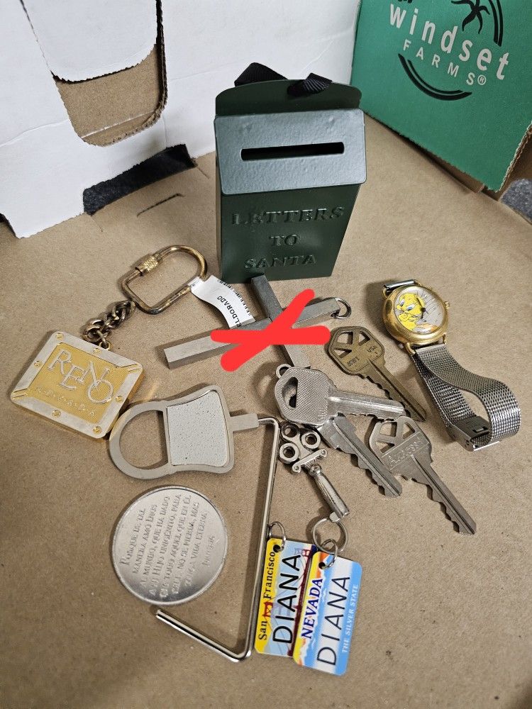 FREE Keys, Keychain, Purse Holder, Broken Watch, Metal Items