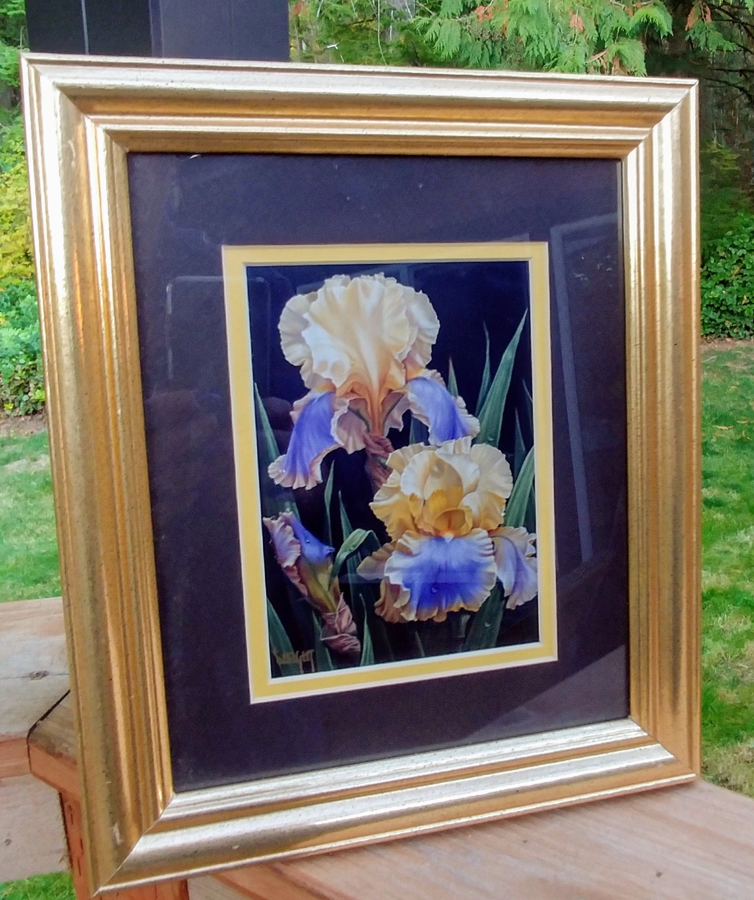 Judy Sleight- Victorious Voyager Iris Art