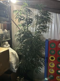 Fake Trees And Plants 