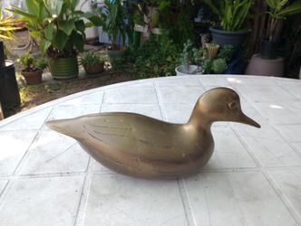 Duck
