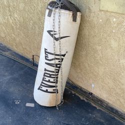 Everlast Punching Bag 