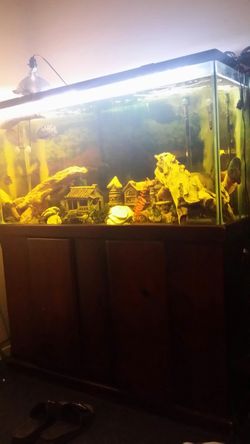 Fish tank 110 gal.