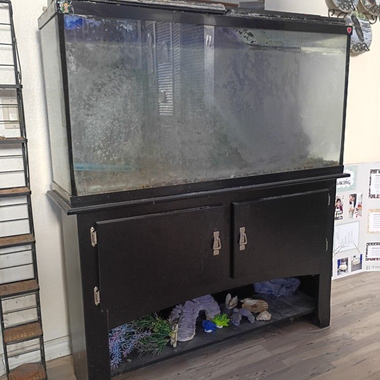 60 Gal Fish Tank