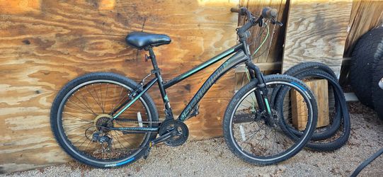 Schwin Bike