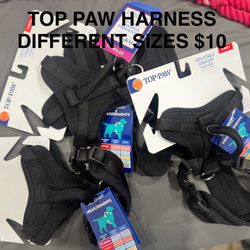 Dog Leashes, Collars & Harnesses