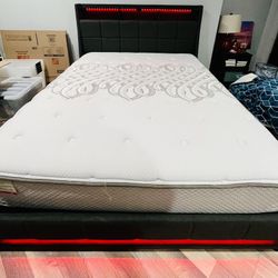 Queen Wayfair Bed Frame- Dyane Upholstered Bed Full Bed Frame with Charging Station and LED Lights