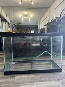 65 Gallon Tall Aquarium
