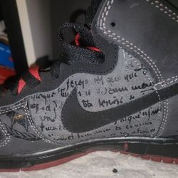 Nike Dunk Pro Sd High Melvins