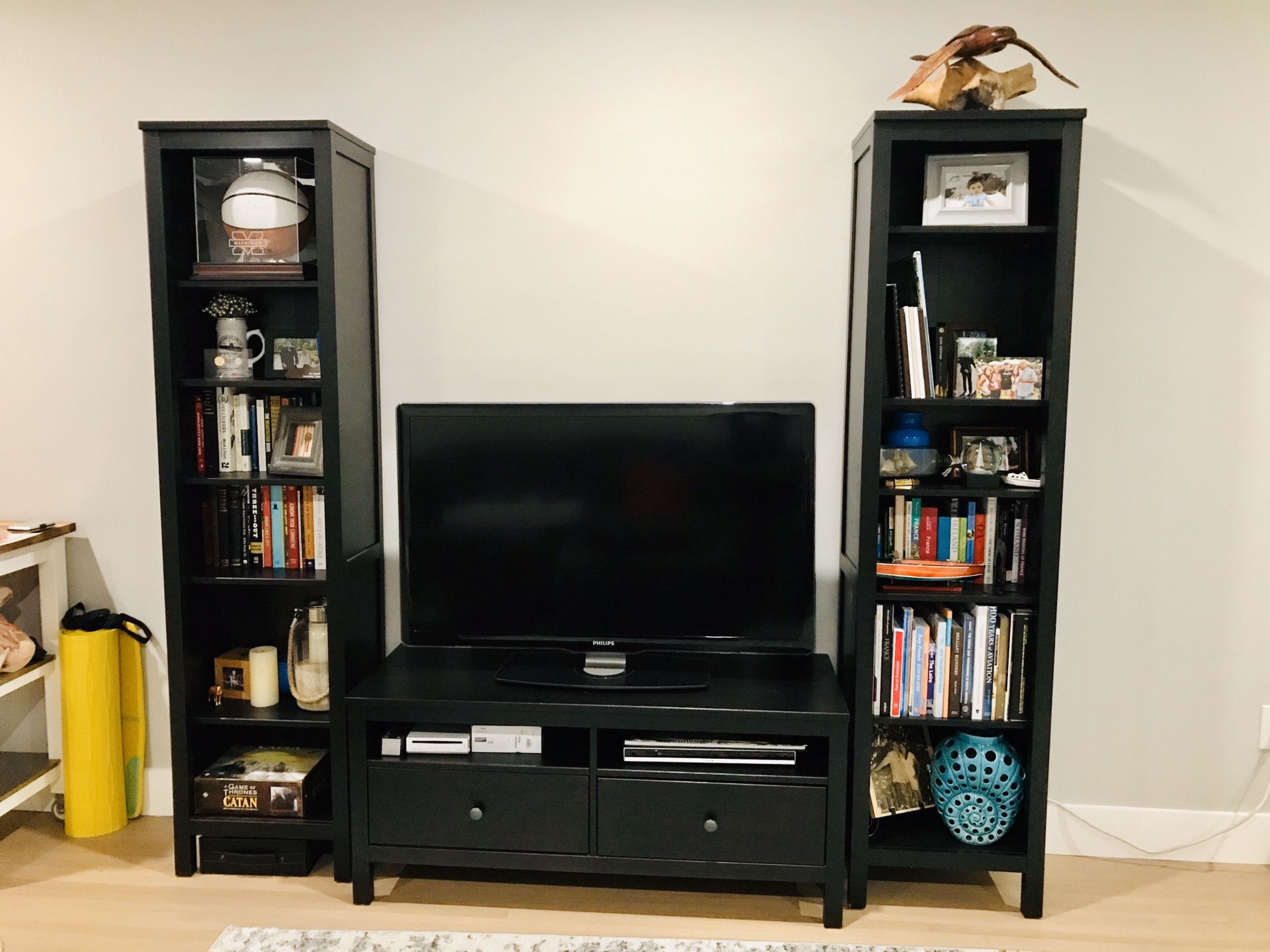 Tv stand and bookshelf / entertainment center