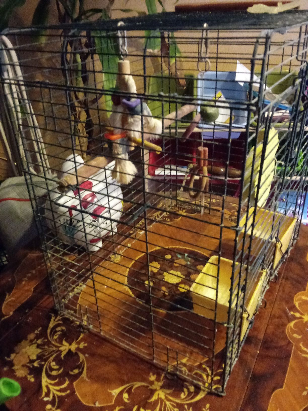 Bird cage - large