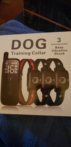 Dog Training Collar