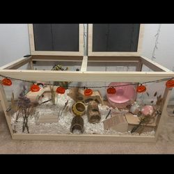 Hamster cage set up, aesthetically pleasing. Everything you need for a hamster