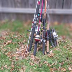 Bunch Of Fishing Rods