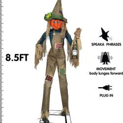 Halloween Pumpkin Man