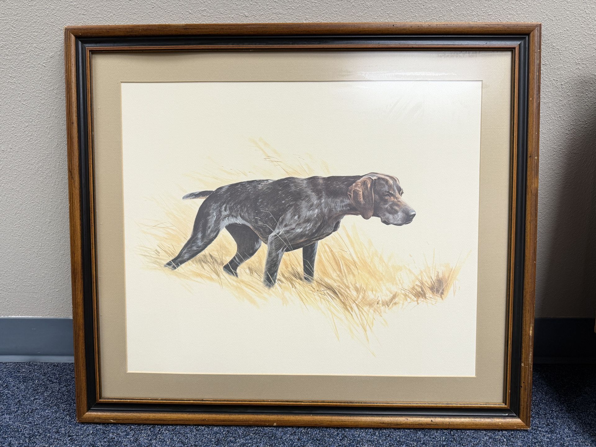 German Short Hair by Elliott Watercolor Print 20X16 Framed