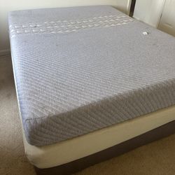 Two Queen Mattresses , and a Spring Box 