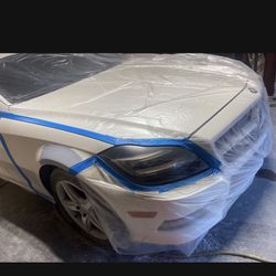 Smoked Out Tail Light Body W Cars