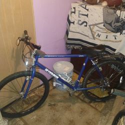Skykomish Mountain Bike 2 5 0 0